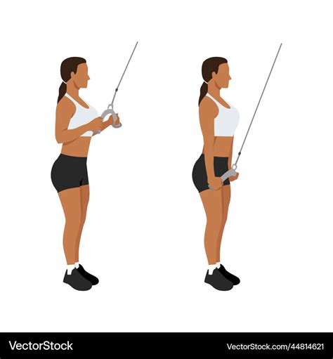 Woman doing cable rope tricep pull down Royalty Free Vector