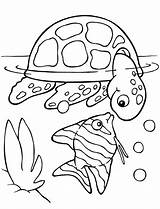 Coloring Pages For School Age & coloring Book sketch template