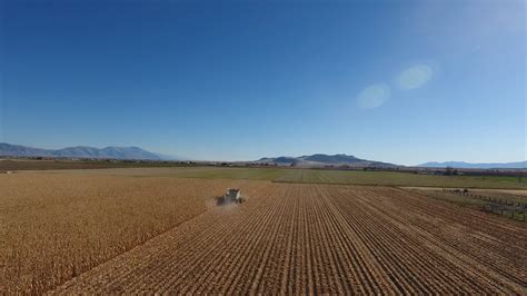 Farming and Harvesting Corn with a Tractor and Combine