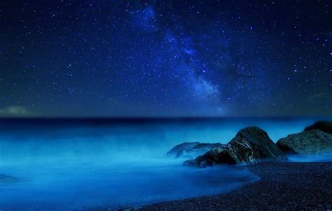 Sea Stars Wallpapers - Top Free Sea Stars Backgrounds - WallpaperAccess