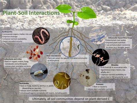 Microbial Media :: Scow Soil Microbial Ecology Lab