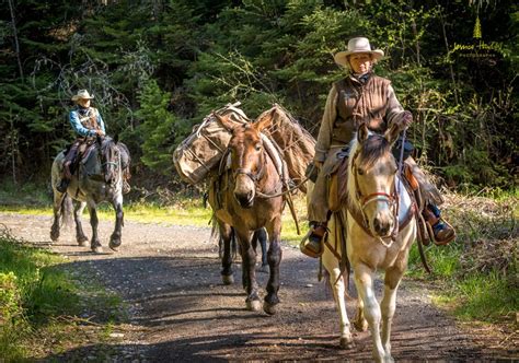 pack mules - Google Search | Horses, Animals, Mules