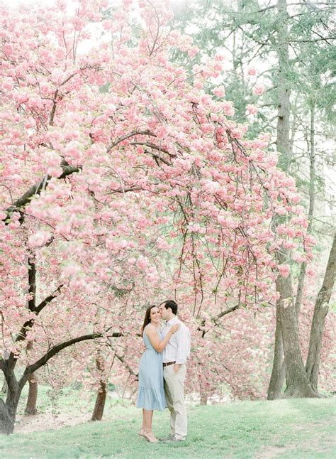 Central Park Engagement Photos during Peak Cherry Blossom Season in New York… | Nyc wedding ...