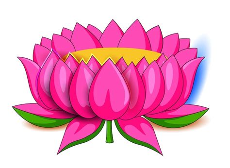 Premium Vector | Beautiful blooming lotus flower