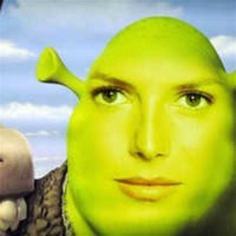 Don't worry, It's all ogre now. | Funny profile pictures, Profile ...