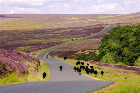 North York Moors National Park: The Complete Guide