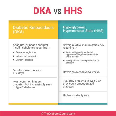 The Ultimate Guide to Ketone Testing - TheDiabetesCouncil.com | Nursing school notes, Dka vs hhs ...