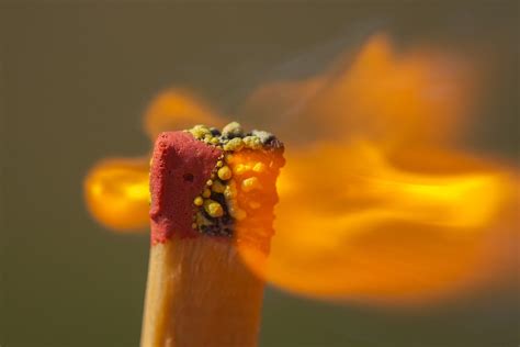 Online crop | match stick, macro, matchstick, fire HD wallpaper ...