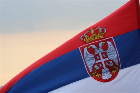 Kako izgleda najstarija srpska zastava? | Srednje škole