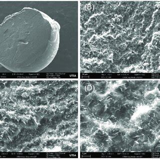 Focused ion beam-scanning electron microscopy images (A) A PCRS solid ...