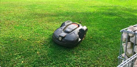 Guide to Buying the Best Robot Lawn Mower - Mel's Garden