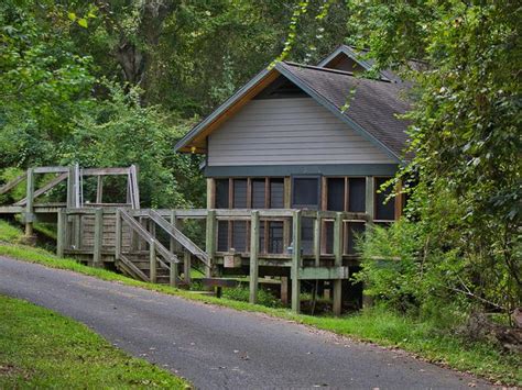 Chicot State Park | Explore Louisiana