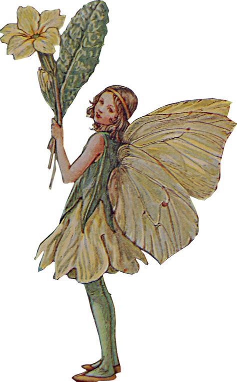 Fairy PNG Transparent Images, Fairy Clipart Hd Pictures - Free ...