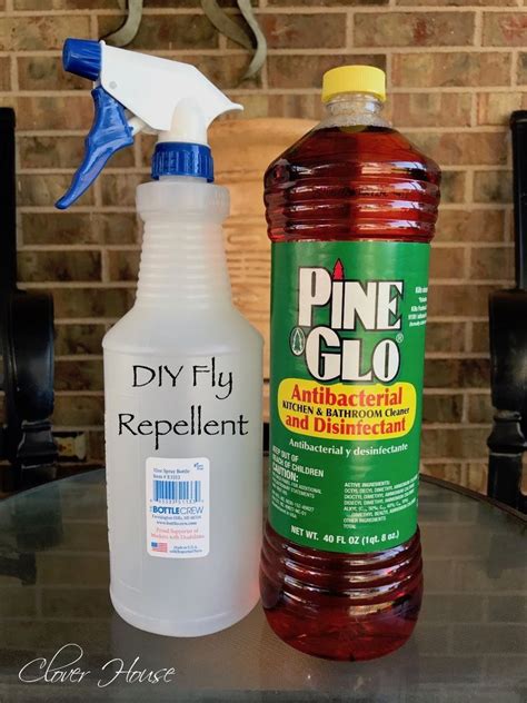 Home Remedy for Outdoor Fly Repellent | Fly repellant, Fly repellant diy, Fly spray