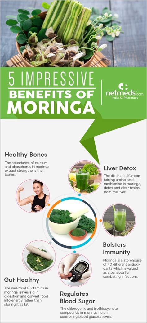 Ten Benefits Of The Moringa Oleifera Tree Tree Seeds Moringa | My XXX Hot Girl