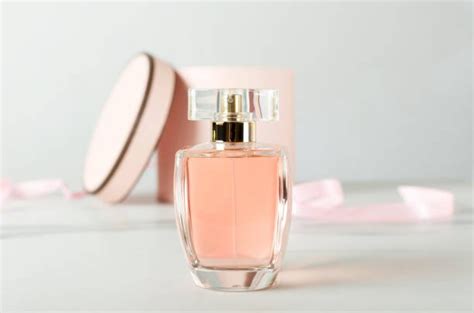 The Perfume Shop.com