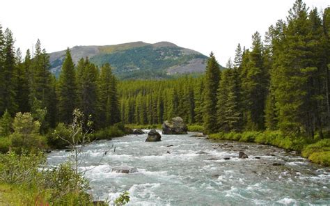 HD Maligne River, Alberta, Canada Wallpaper | Download Free - 65555