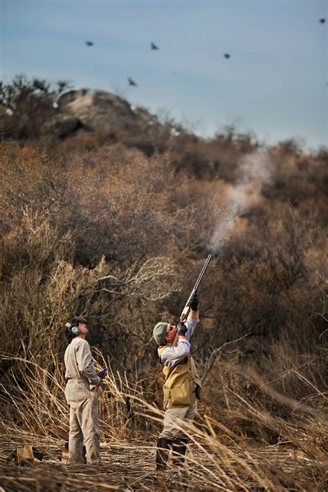 Argentina Dove Hunting - Guided Dove Hunting in Argentina.