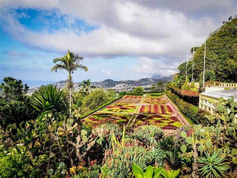 25 Awesome Things To Do In Funchal | Madeira island, Things to do, Funchal