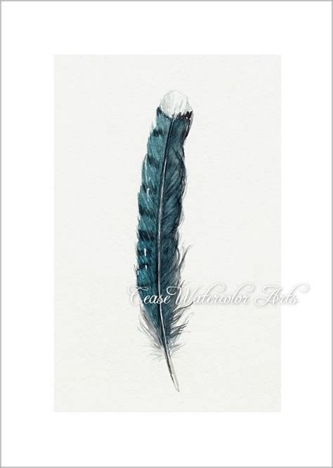 Blue Jay Feather Wall Art Watercolor 5x7 Giclee Print - Etsy