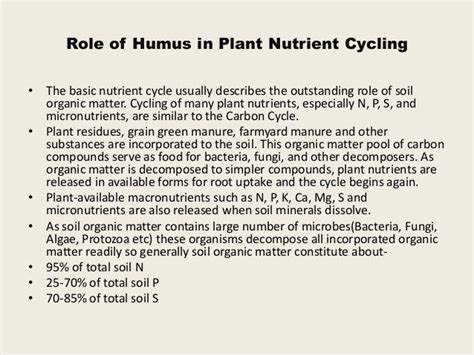 Process of humus formation