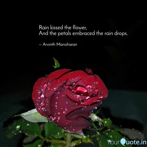 Quotes On Rain Drops On Flowers - Kumpulan quote kata bijak