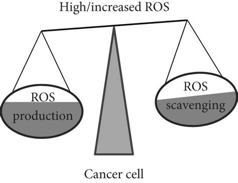 The effects of different concentrations of ROS on cells. (a) ROS,... | Download Scientific Diagram