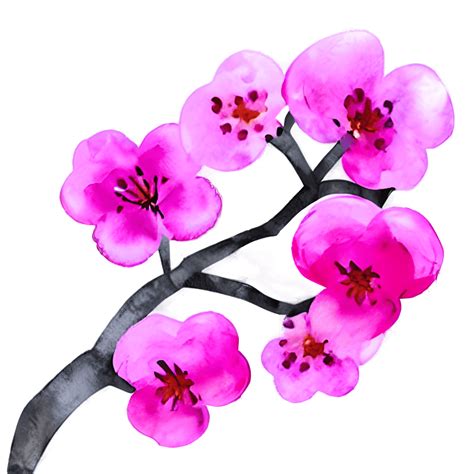 Watercolor Cherry Blossom Branch · Creative Fabrica