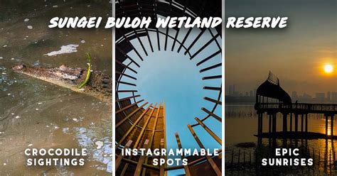 Sungei Buloh Wetland Reserve — IG-Worthy Pods, Coastal Boardwalks