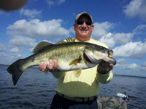 Black Bass Lake Toho - Orlando Bass Fishing Guides