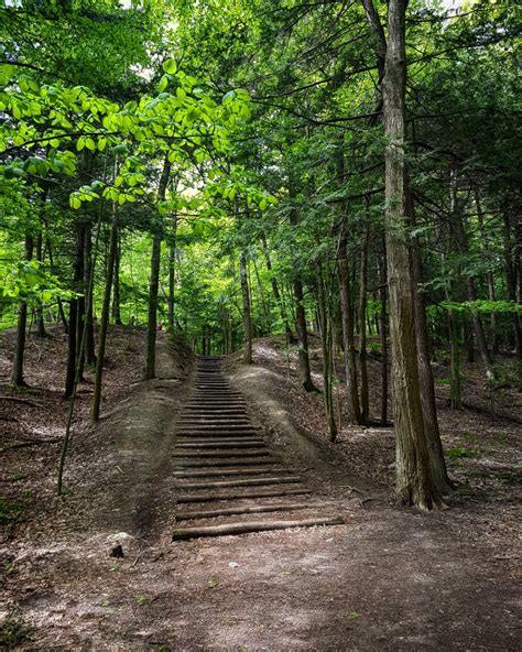 Hiking in Toronto's Rouge National Park