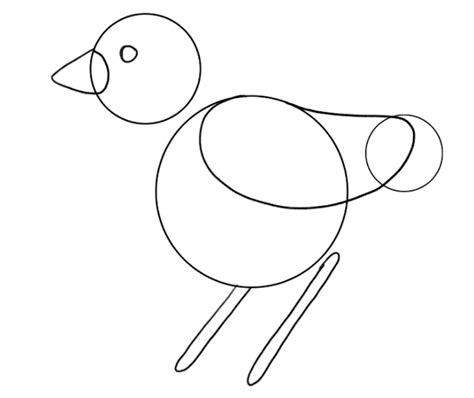 Bird Drawing Guide For Beginners [5 Steps, Video + Images]