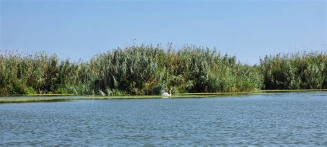 Visit Danube Delta, Romania – Emily's World