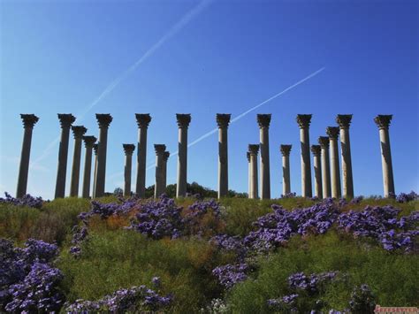 Original United States Capitol Columns at the National Arboretum