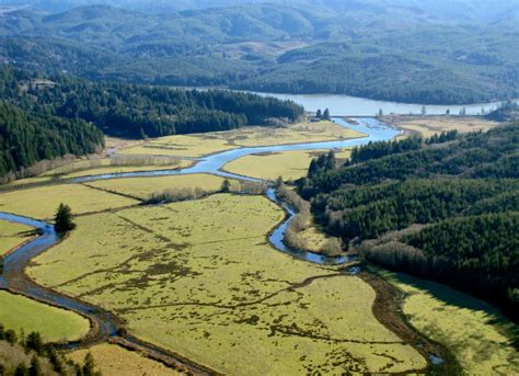 Smarter Floodplain Management | Willamette Partnership