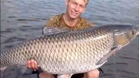 Watch: Man catches mutant fish in Chernobyl waters | KOMO