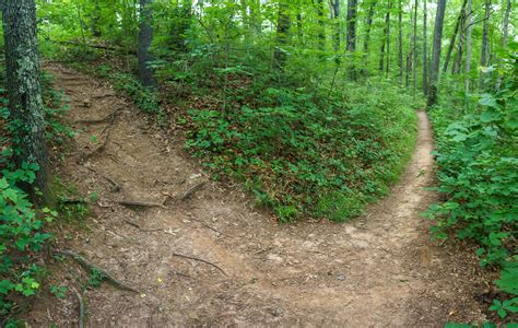 Spur Path to Old Road – WNCOutdoors.info