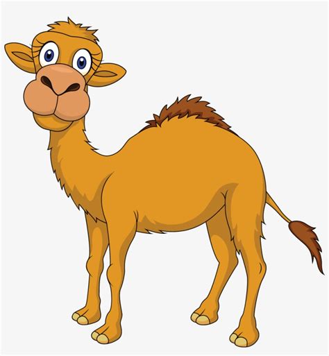 Cute Camel Clipart Funny Pictures - Camel Cartoon - Free Transparent PNG Download - PNGkey