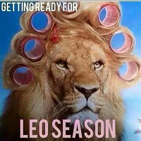 Leo Season...It's coming | Leo season, Leo, Leo love