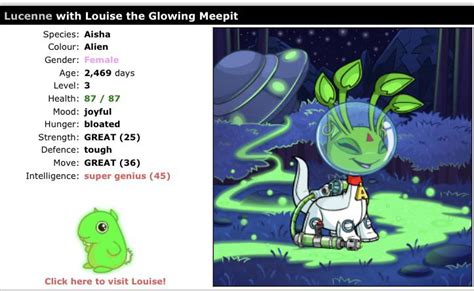 Pirate Draik Morphing Potion : r/neopets