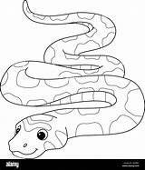 Corn Snake Animal Isolated Coloring Page For Kids Stock Vector Image  sketch template