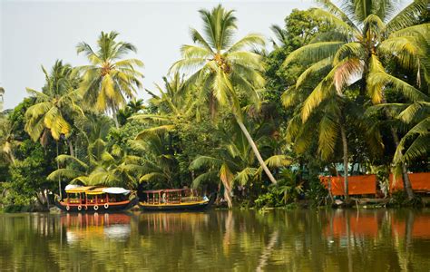 Best time to go to Kerala backwaters | Kerala backwaters, Kerala, Kerala tourism