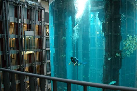 Aqua Dom (Huge Aquarium) in Sea Life / Radisson Blu Hotel, Berlin ...