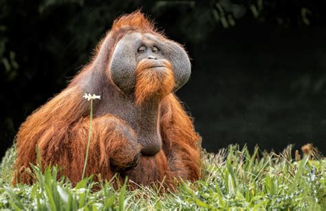 Contemplating Nature: Alan & Julie Walker Photography