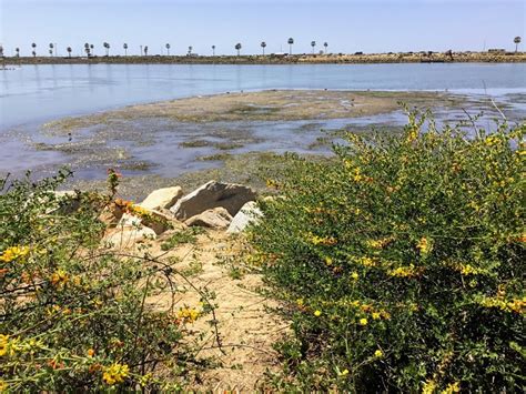 Hubbs Trail Tour at Agua Hedionda Lagoon – San Diego Beach Secrets