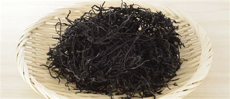 Hijiki | Local Seaweed From Japan