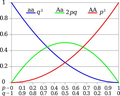 Hardy–Weinberg principle - Wikipedia