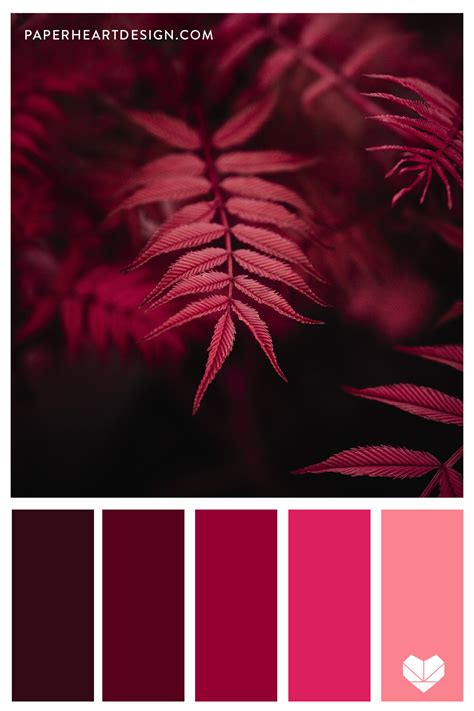 Color Palette: Radiant Reds — Paper Heart Design