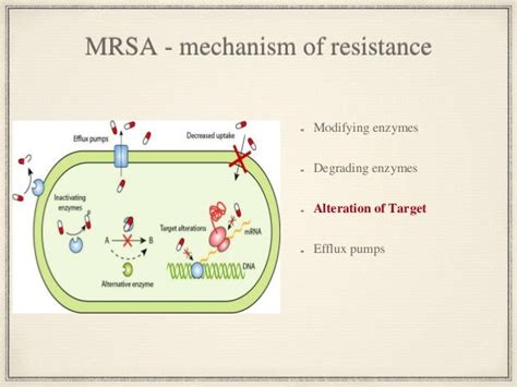 Treatment of mrsa infection