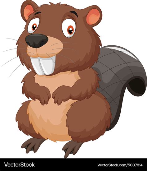 Cartoon beaver Royalty Free Vector Image - VectorStock